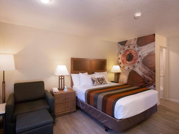 Best Western Sandman Hotel : photo 4 de la chambre chambre lit queen-size - non-fumeurs