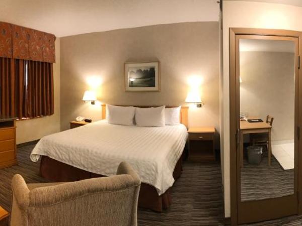 Humphry Inn and Suites : photo 8 de la chambre suite lit king-size