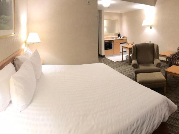 Humphry Inn and Suites : photo 6 de la chambre suite lit king-size