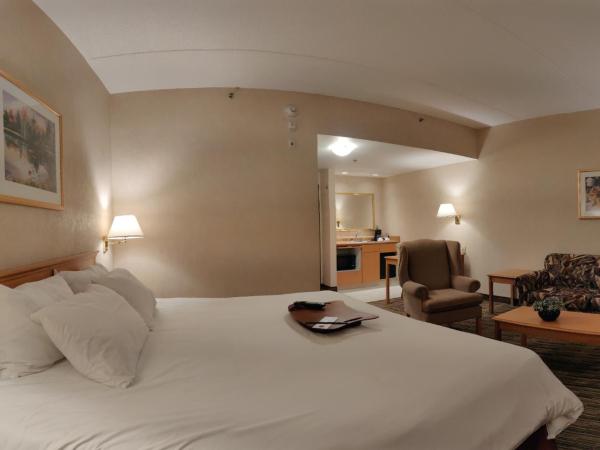 Humphry Inn and Suites : photo 3 de la chambre suite lit king-size