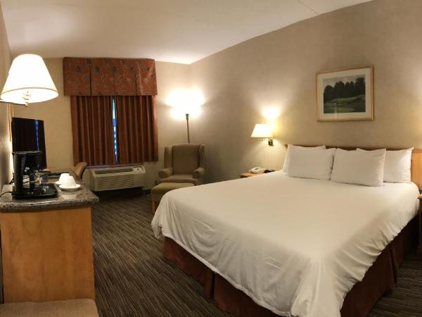 Humphry Inn and Suites : photo 7 de la chambre chambre lit king-size