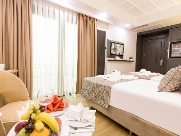 Antusa Design Hotel & Spa : photo 2 de la chambre chambre double standard