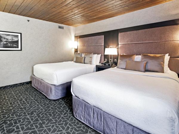 Best Western Plus Siding 29 Lodge : photo 2 de la chambre chambre avec 2 lits queen-size et canapé-lit