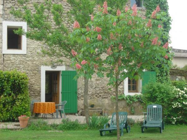 Mas Le Pont des Aubes : photo 1 de la chambre appartement - vue sur jardin