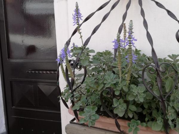 Altevolte Rooms : photo 5 de la chambre petite chambre double