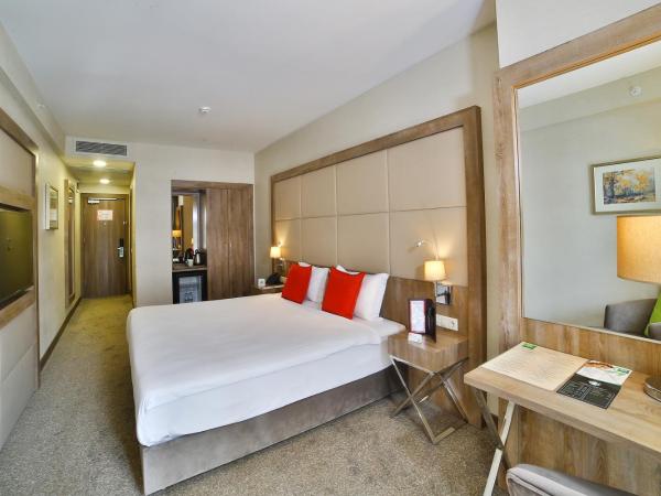 ibis Styles Istanbul Bomonti : photo 5 de la chambre chambre double supérieure