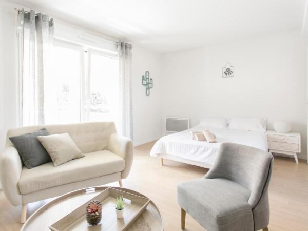 Zenao Appart'hôtels Mulhouse : photo 3 de la chambre studio 1 lit double