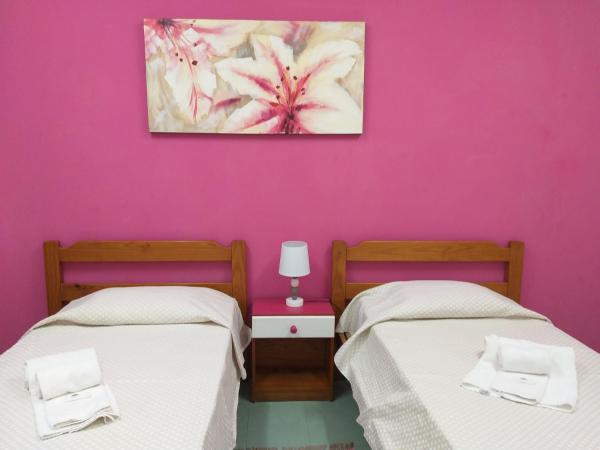 HI Faro - Pousada de Juventude : photo 8 de la chambre chambre lits jumeaux avec salle de bains commune