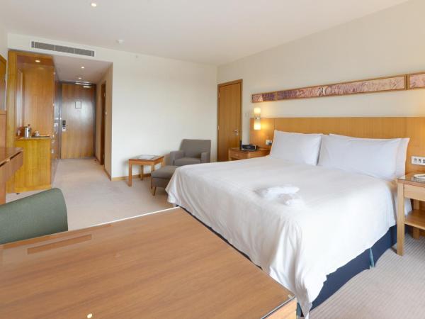 Canary Riverside Plaza Hotel : photo 5 de la chambre chambre lit king-size deluxe