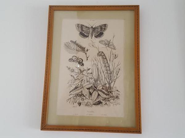 Au Jeu de Paume : photo 3 de la chambre chambre deluxe