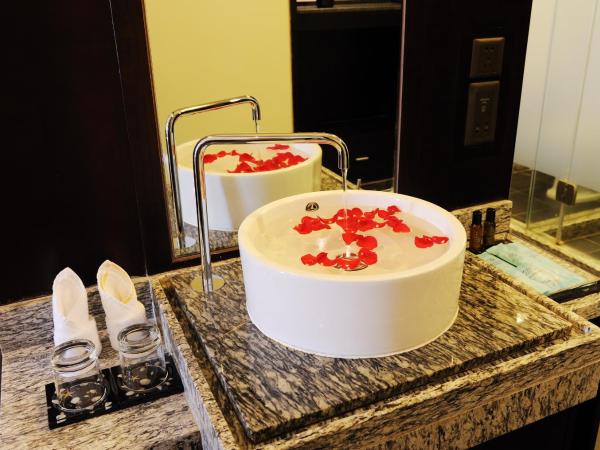 Shengyi Holiday Villa Hotel : photo 6 de la chambre chambre lits jumeaux deluxe - vue sur ville