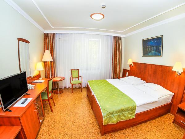 Hotel Silver : photo 1 de la chambre double or twin room with shower, without balcony - new building