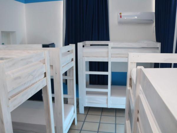 Sonho de Iracema Hostel Boutique : photo 1 de la chambre lit superposé dans dortoir pour femmes 
