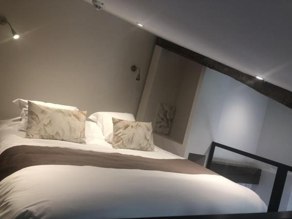 Hôtel du Lion d'Or : photo 6 de la chambre suite - vue sur ville