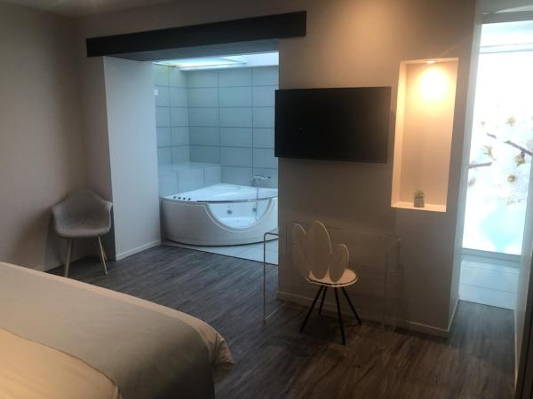 Hôtel du Lion d'Or : photo 4 de la chambre chambre double avec baignoire spa