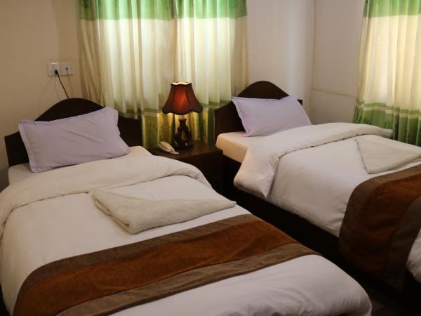 Kathmandu Peace Guesthouse : photo 2 de la chambre chambre double ou lits jumeaux supérieure
