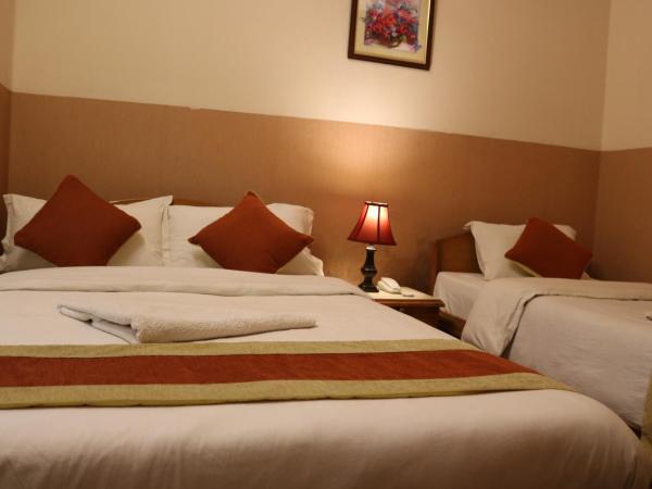 Kathmandu Peace Guesthouse : photo 4 de la chambre chambre deluxe double ou lits jumeaux