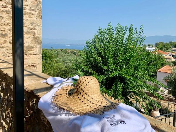 Villa Vager Mani Hotel : photo 4 de la chambre suite exécutive