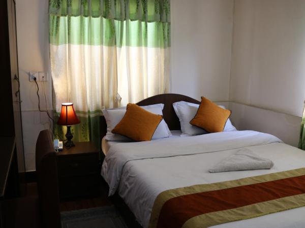 Kathmandu Peace Guesthouse : photo 4 de la chambre chambre double ou lits jumeaux supérieure