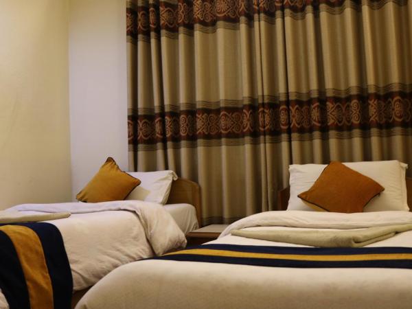 Kathmandu Peace Guesthouse : photo 2 de la chambre chambre double ou lits jumeaux standard