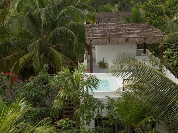 Chiringuito Tulum : photo 7 de la chambre hébergement de luxe avec piscine privée