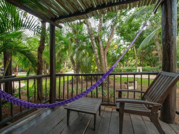 Iberostar Waves Cozumel - All Inclusive : photo 6 de la chambre chambre standard (1 adulte)