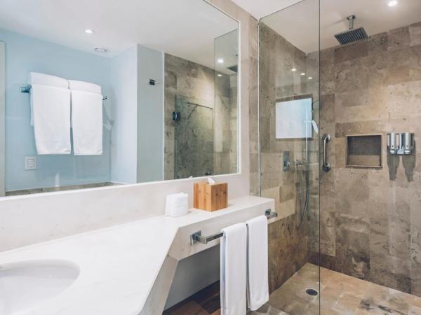 Iberostar Waves Cozumel - All Inclusive : photo 5 de la chambre chambre standard (1 adulte)