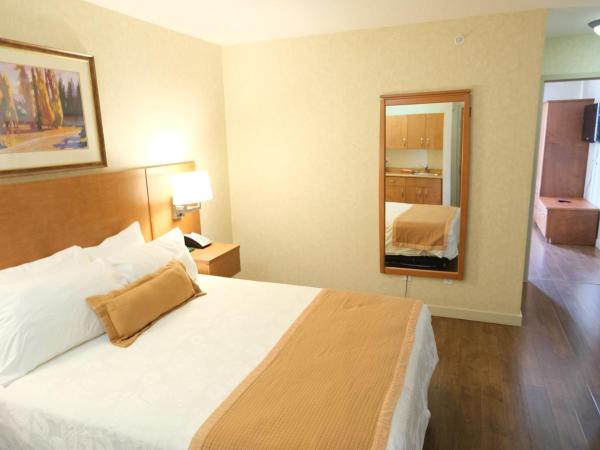 Rosslyn Inn & Suites : photo 10 de la chambre chambre exécutive avec 2 lits queen-size