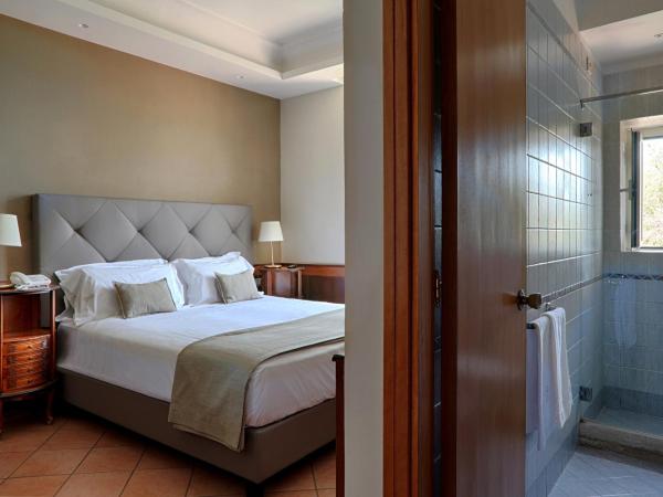 Montespina Park Hotel : photo 1 de la chambre chambre double standard