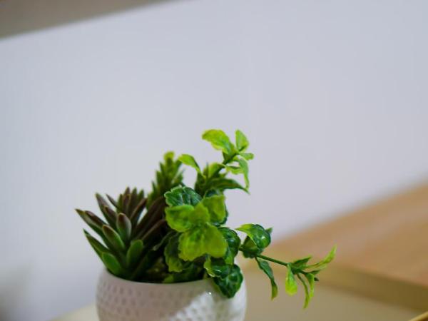 YAB-GuestHouse, FemaleOnly, ForeignOnly : photo 8 de la chambre chambre quadruple - réservée aux femmes