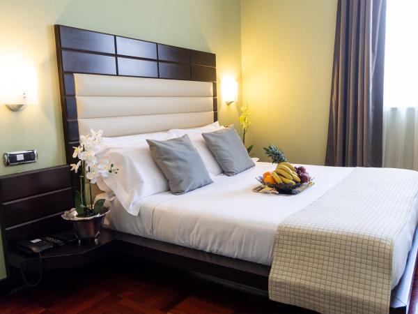 Hotel Silver Milano : photo 2 de la chambre suite junior