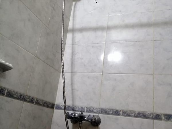 Black Sheep International Hostel : photo 5 de la chambre chambre quadruple classique