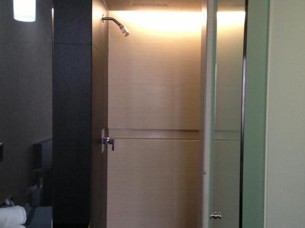 Hotel Amazonas : photo 5 de la chambre chambre lit king-size