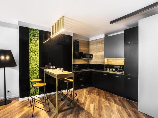 Apartamenty Nowa Kamienica Częstochowa Centrum Szymanowskiego 22A : photo 4 de la chambre appartement deluxe