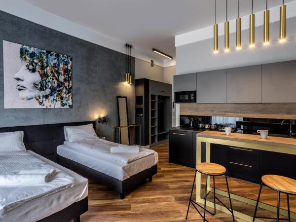 Apartamenty Nowa Kamienica Częstochowa Centrum Szymanowskiego 22A : photo 2 de la chambre appartement standard