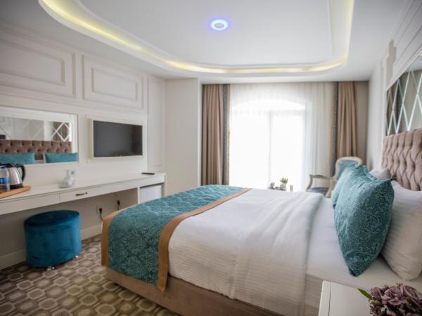 Palde Hotel & Spa : photo 2 de la chambre chambre deluxe