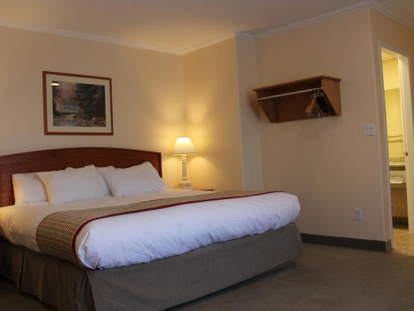 Travelodge by Wyndham Kamloops : photo 2 de la chambre chambre lit king-size - non-fumeurs