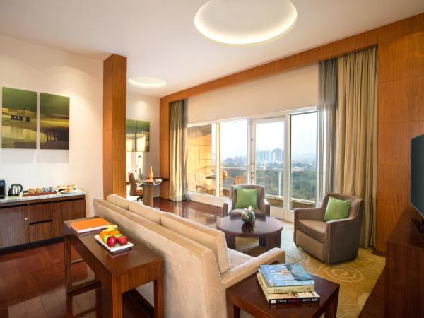 Hyatt Regency Pune Hotel & Residences : photo 4 de la chambre suite