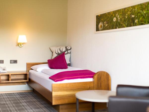 Hotel Garni Römerhof : photo 1 de la chambre chambre simple avec balcon