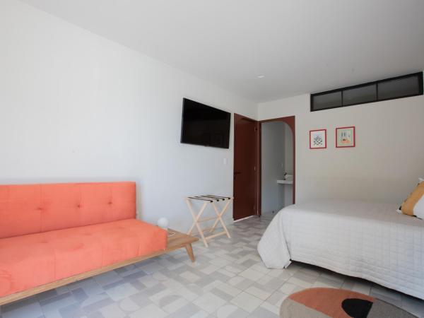 Casa Ixaya by Barrio México : photo 3 de la chambre chambre triple - vue sur jardin