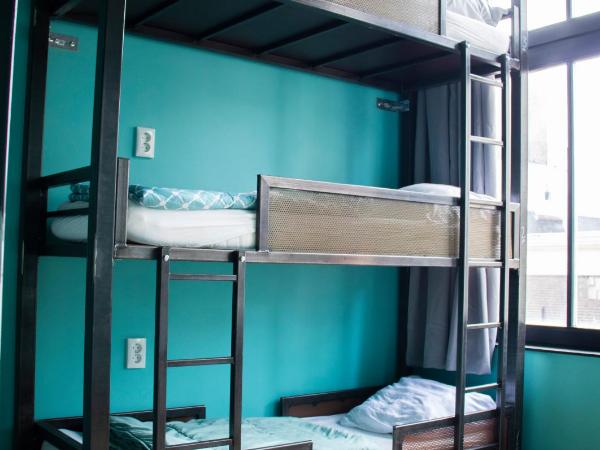 Amsterdam Hostel Leidseplein : photo 3 de la chambre lit dans dortoir mixte de 14 lits [sc]