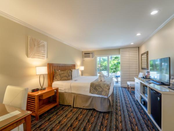 The Dana on Mission Bay : photo 1 de la chambre chambre standard 1 lit king-size - lanai