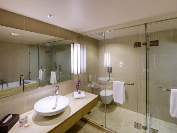 Svelte Delhi, a member of Radisson Individuals : photo 1 de la chambre chambre supérieure