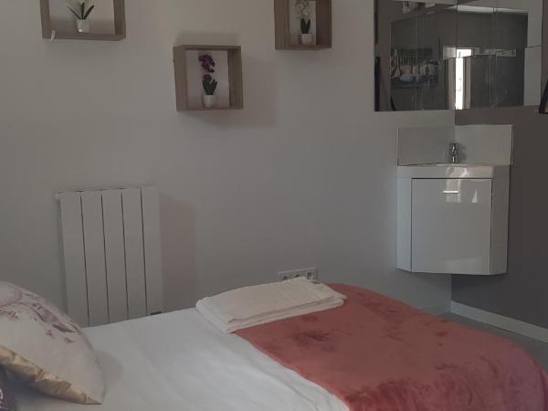 Hôtel Le Saint Patrice : photo 3 de la chambre chambre simple