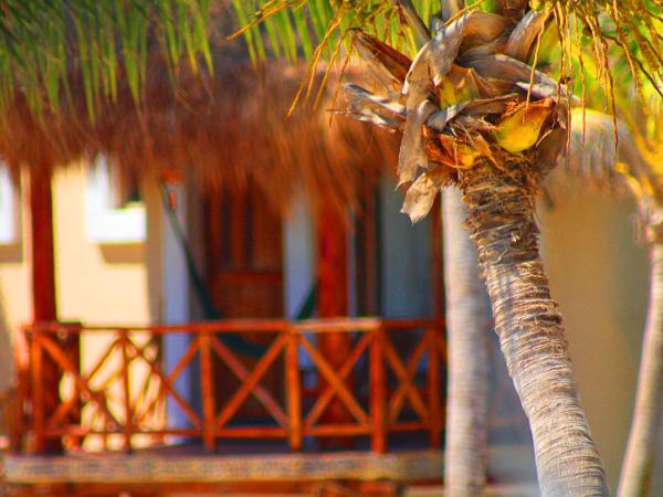 Hotel Piedra Escondida : photo 1 de la chambre high floor room with balcony and sea view