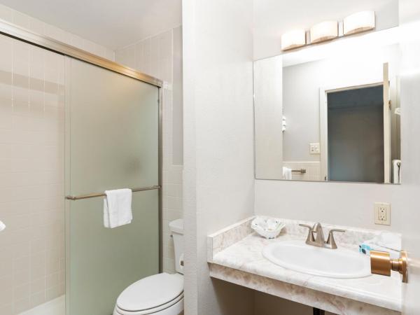 Satellite Hotel : photo 2 de la chambre chambre deluxe