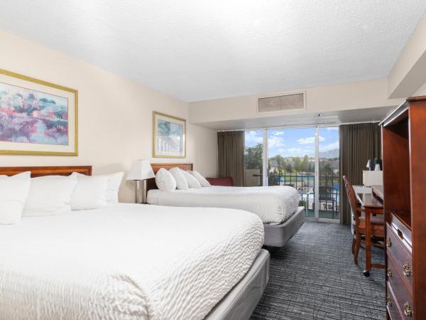 Satellite Hotel : photo 1 de la chambre chambre deluxe