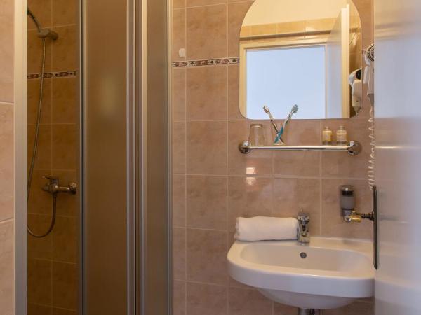 Novoměstský hotel : photo 3 de la chambre appartement avec balcon