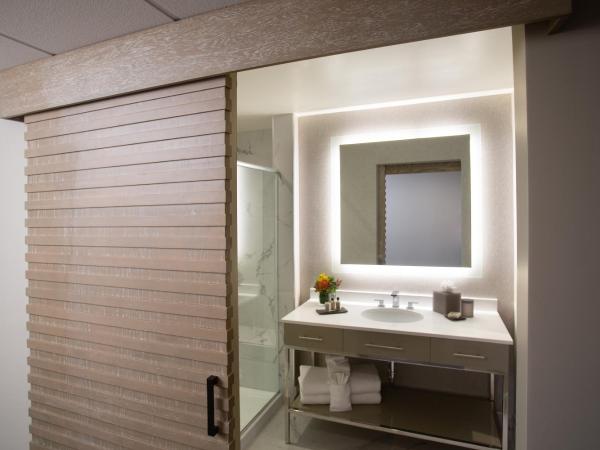 The Delaney Hotel : photo 3 de la chambre hébergement lit king-size standard confort