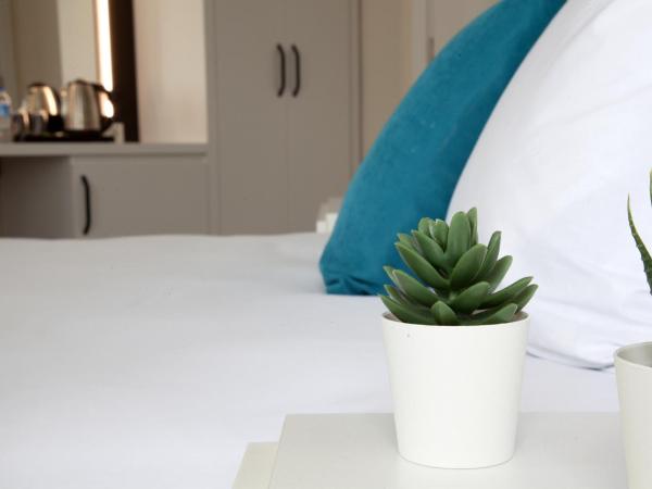 Siete Hotel : photo 5 de la chambre chambre double avec balcon (2 adultes + 1 enfant)